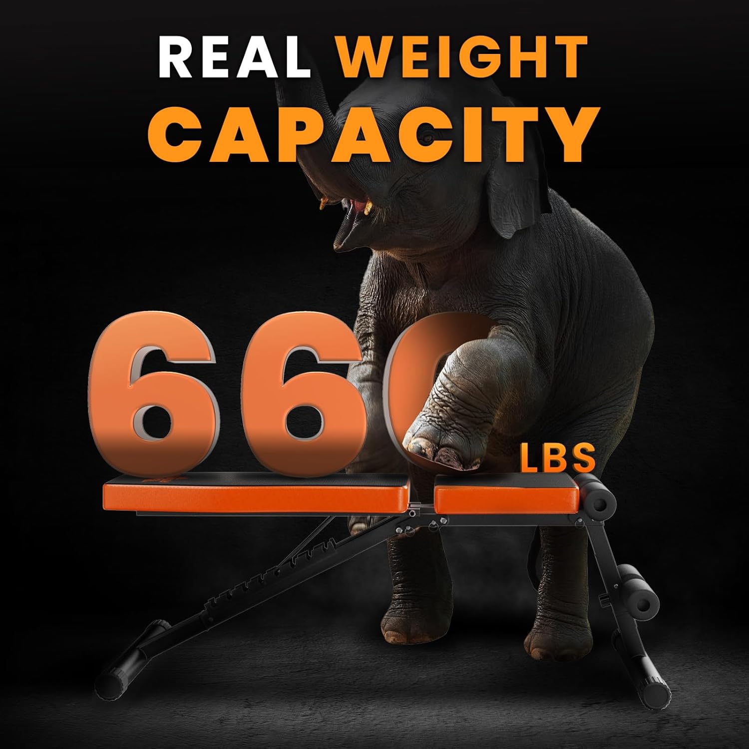 Dinosaurs lifting weights with text indicating real weight capacity on a black background